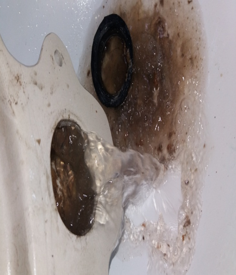 SERVICIOS durante limpieza 3