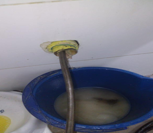 SERVICIOS durante limpieza 4